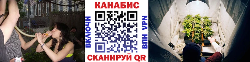 Канабис Bruce Banner  Макаров 